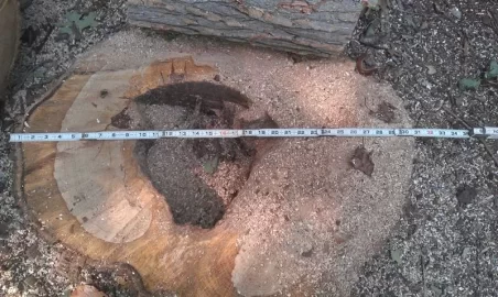 [Hearth.com] New wood from my old place