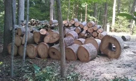 [Hearth.com] New wood from my old place