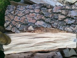 Wood ID needed for multiple species