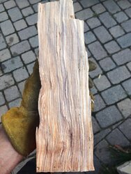 Wood ID needed for multiple species