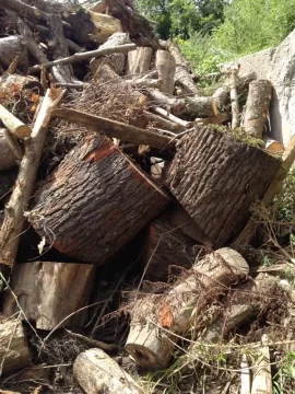 [Hearth.com] Wood id