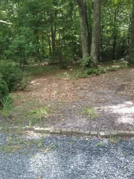 [Hearth.com] Permanent wood storage location...
