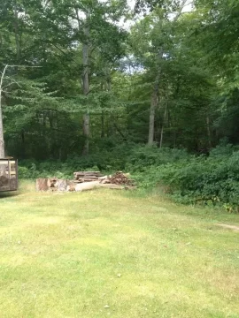 [Hearth.com] Permanent wood storage location...