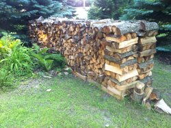 Stacked the rest of the ash, and hauled a bunch of black locust.