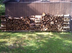 Stacked the rest of the ash, and hauled a bunch of black locust.