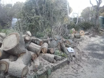 [Hearth.com] Quick scrounge on my way home