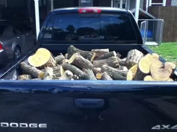 [Hearth.com] Scored on a ton of free hedge!!