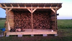 New woodshed started today