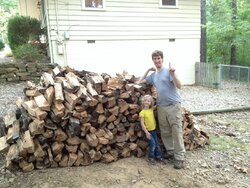 Seem like a good buy for firewood?
