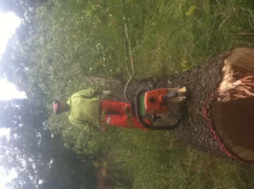 [Hearth.com] Feeding the addiction(and the wood pile!)