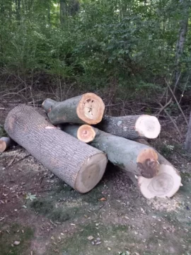 [Hearth.com] Log load delivered ,Ash and Beach I think