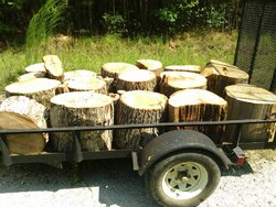 Another load of white oak.