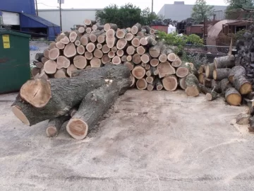 [Hearth.com] wood porn