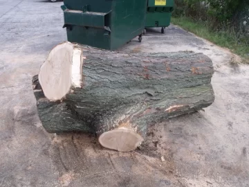 [Hearth.com] wood porn