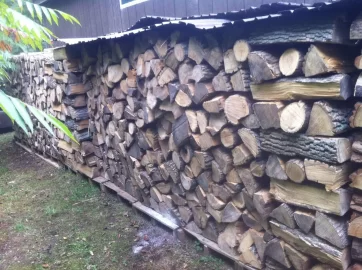 [Hearth.com] Ok, so it's not quite a wood shed...