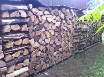 [Hearth.com] Ok, so it's not quite a wood shed...