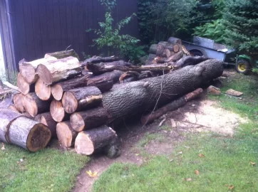 [Hearth.com] Ok, so it's not quite a wood shed...