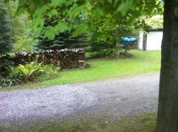 [Hearth.com] Ok, so it's not quite a wood shed...