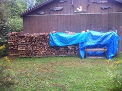 Advice on wood drying/stacking