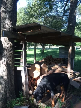 [Hearth.com] Cheaper Wood Shed Than This?