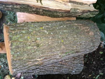 [Hearth.com] Wood ID por favor