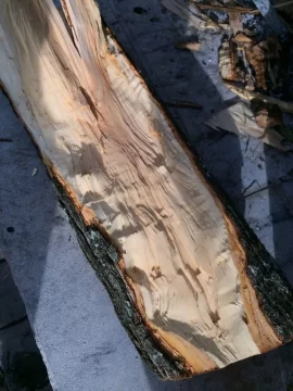 [Hearth.com] Wood ID por favor