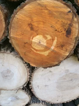 [Hearth.com] Wood ID por favor