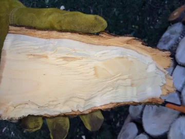 [Hearth.com] Wood ID por favor