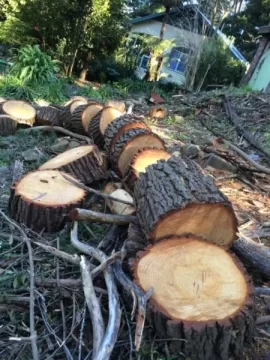 [Hearth.com] New pine score