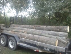 free oak log load
