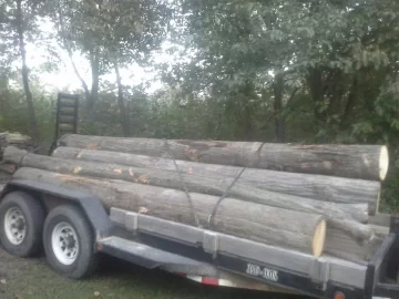 [Hearth.com] free oak log load