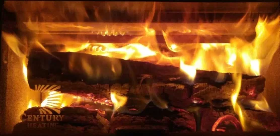 [Hearth.com] New Guy; forced into burning for primary heat.