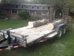 free oak log load