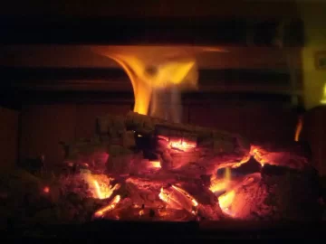 [Hearth.com] New Guy; forced into burning for primary heat.