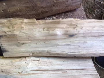 [Hearth.com] Wood ID?