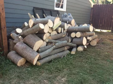 [Hearth.com] Wood fairy strikes again.....