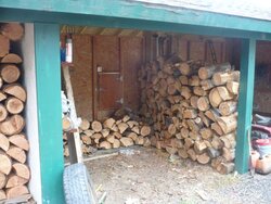 Got enough wood for this winter.