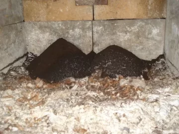 [Hearth.com] Is this a lot of creasote (Pic)