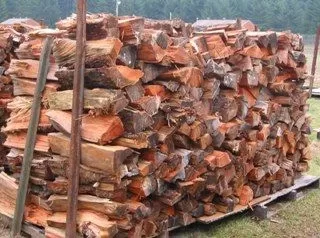 [Hearth.com] First 24 Hour Burn!
