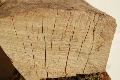 [Hearth.com] First 24 Hour Burn!