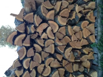 [Hearth.com] Cherry as fuelwood-your thoughts