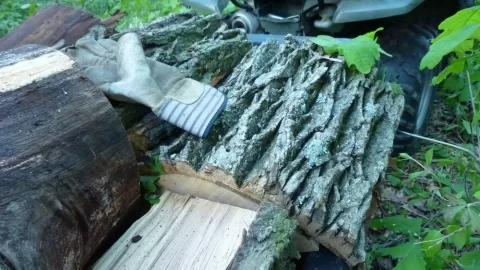 [Hearth.com] Wood ID