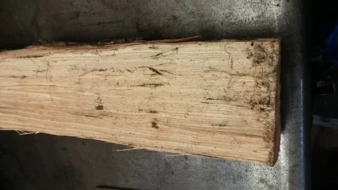 [Hearth.com] what type of tree?