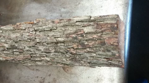 [Hearth.com] what type of tree?