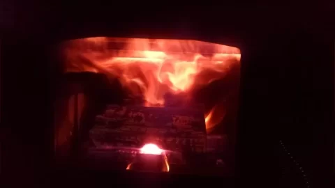 [Hearth.com] First burn tonight