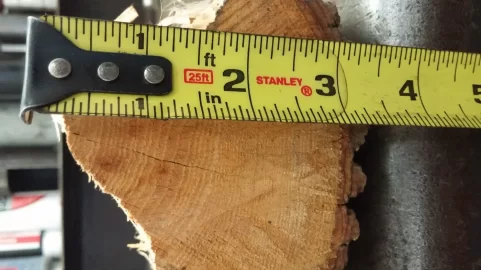 [Hearth.com] what type of tree?