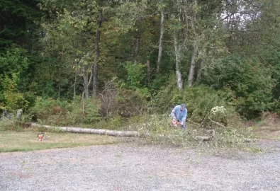 [Hearth.com] I'm gonna burn a lot of birch