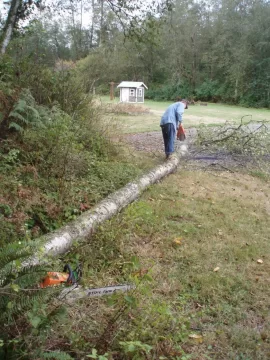 [Hearth.com] I'm gonna burn a lot of birch
