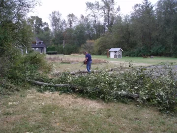 [Hearth.com] I'm gonna burn a lot of birch