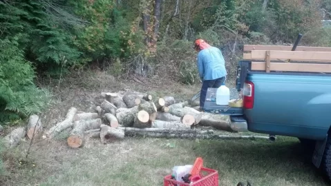 [Hearth.com] I'm gonna burn a lot of birch
